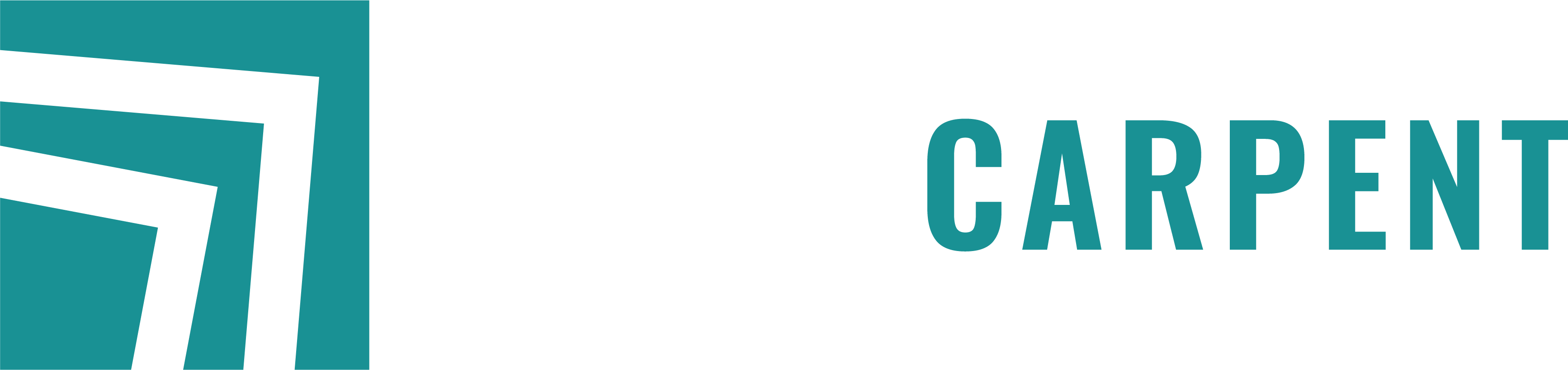 Tecnocarpent
